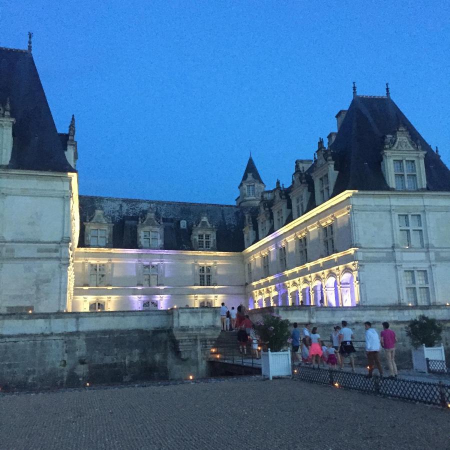 Appartement Au Calme, Avec Parc Prive, 50M Du Tram Tours Exterior foto